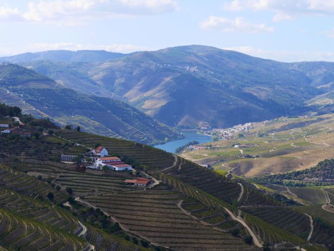 🍇 Douro Vinice v údolí řeky Douro patří k nejstarším vinařským oblastem na světě. Každý řádek révy je tu vysazený ručně na...