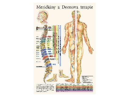 Mapa - Meridiány a Dornova terapie - 32 x 47 cm