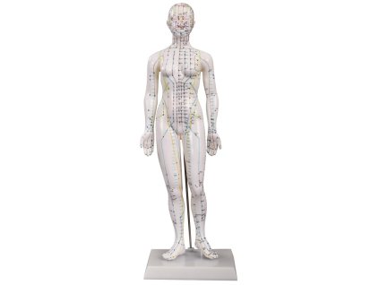 akupunkturní model žena 48cm