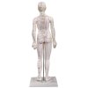 Akupunkturní model - žena 48cm