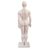 akupunkturní model muž 50cm 2