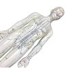 akupunkturní model žena 48cm 5