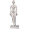 Akupunkturní model - žena 48cm