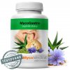 MycoMedica MycoGastro sypká směs pro přípravu nápoje 90g
