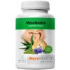 MycoMedica MycoGastro sypká směs pro přípravu nápoje 90g