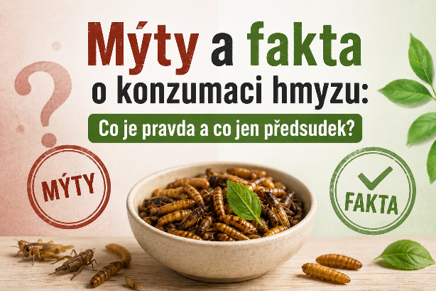 Mýty a fakta o konzumaci hmyzu: Co je pravda a co jen předsudek?