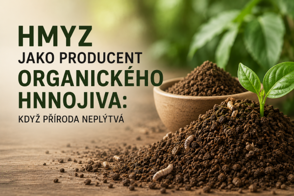 Hmyz jako producent organického hnojiva: Když příroda neplýtvá