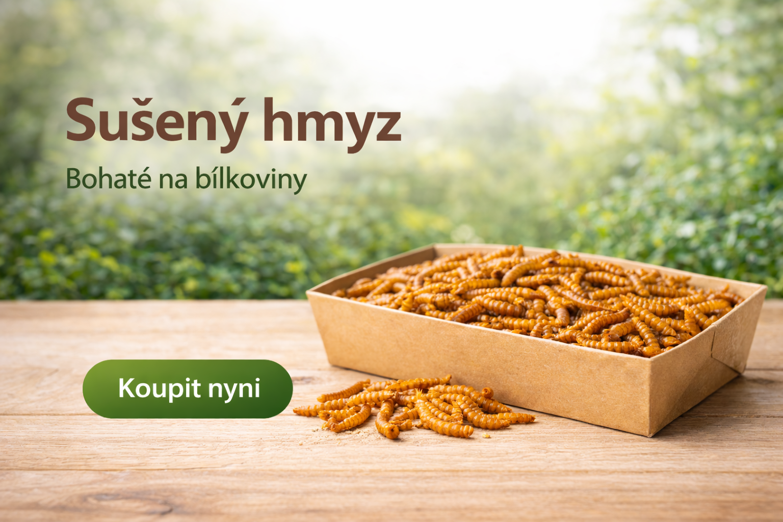 Sušený hmyz