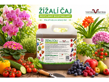 čaj 3 L s rajčaty 16x9