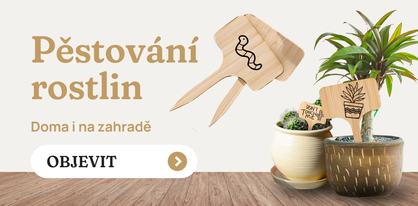 Pěstování rostlin