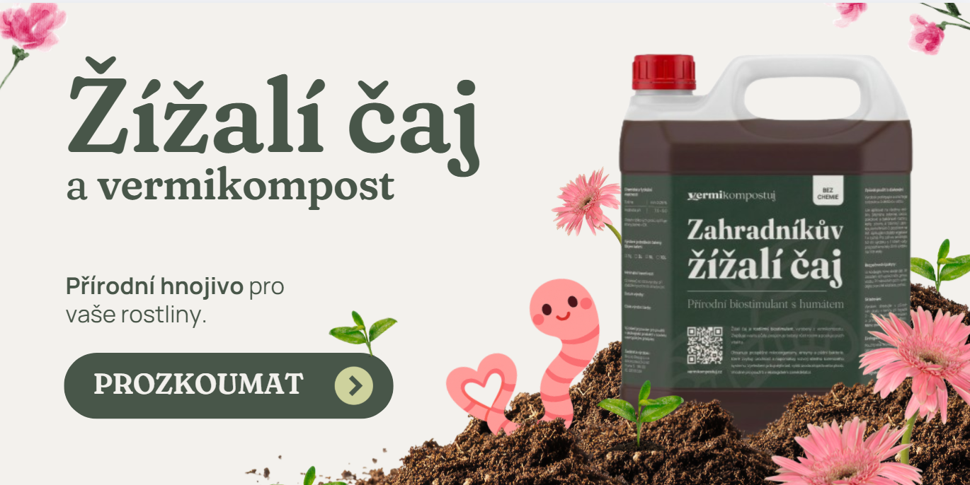 Žížalí čaj