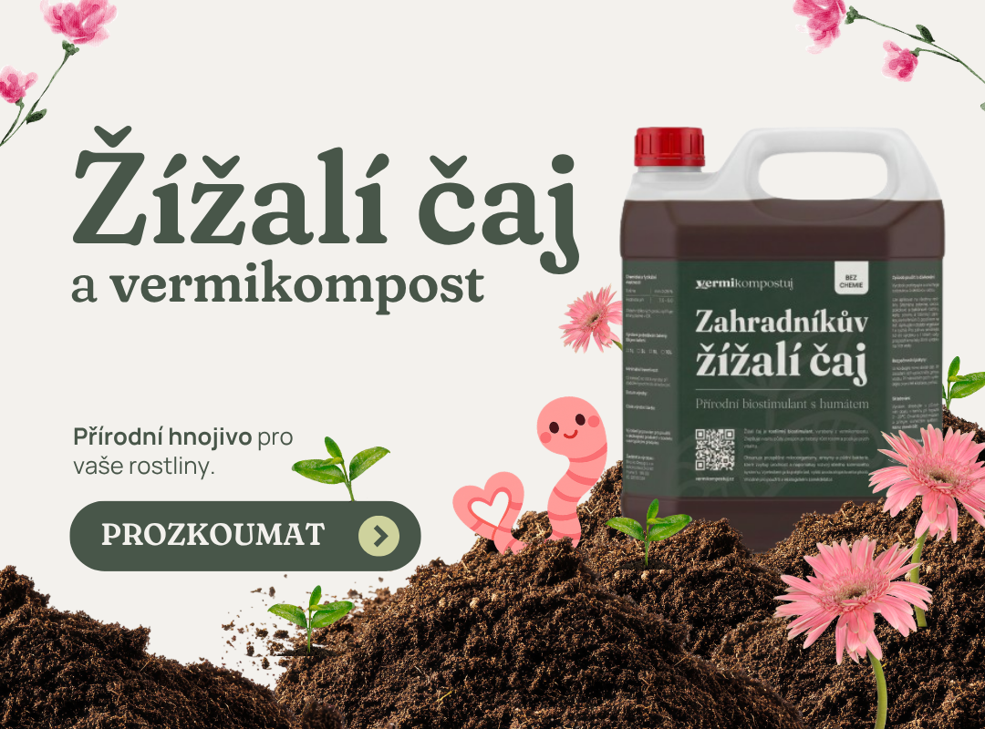 Žížalí čaj