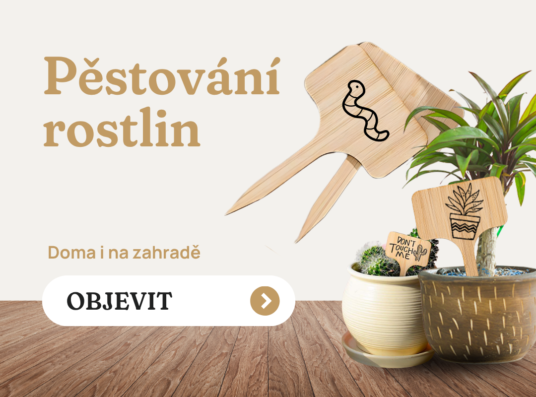 Pěstování rostlin