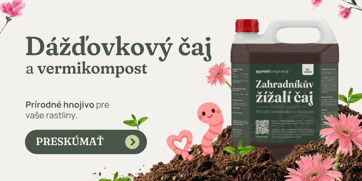 Dážďovkový čaj