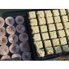 Set pro pestovani chilli stredni