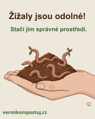 Žížaly nejsou tak křehké, jak se může zdát. 🪱 Většinu drobných chyb zvládnou samy. Stačí jim stabilní prostředí, přiměřené...