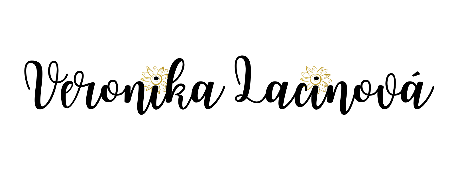 logo_bez2
