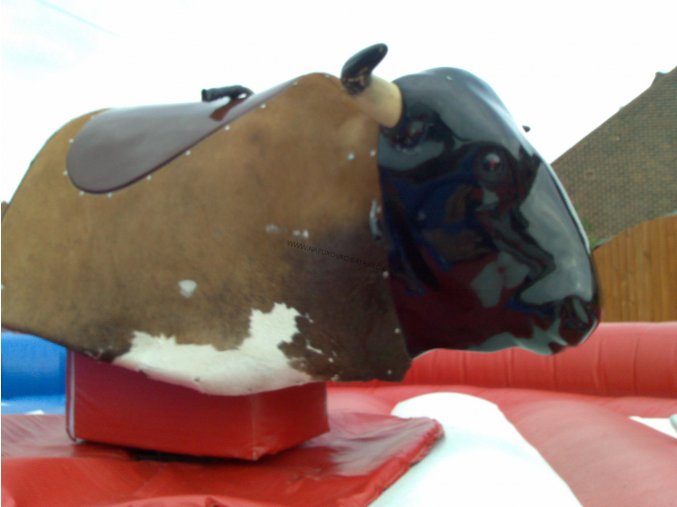 vyr 171rodeo byk A