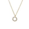 Pozlacený náhrdelník s kruhem a zirkony