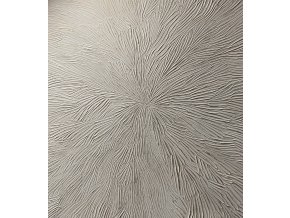 Štruktúrovaný obraz - Paprsky 80x60