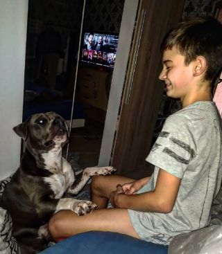 #lasky #syn #cezar #slunicka #pohoda @arabelaka_888