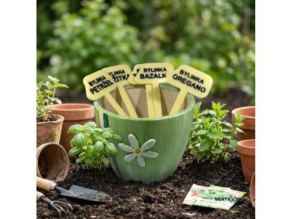 3d showcase 1774173863633