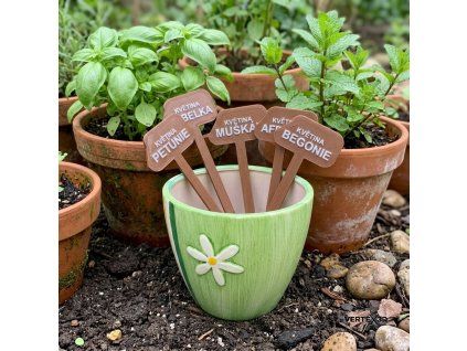 3d showcase 1774291943565