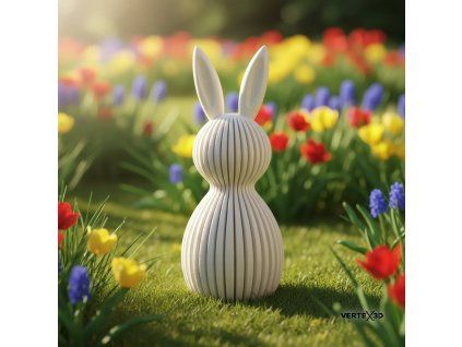 3d showcase 1773418496921