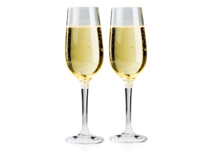 4ce72215 sada sklenicek gsi nesting champagne flute set(1)