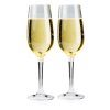 4ce72215 sada sklenicek gsi nesting champagne flute set(1)