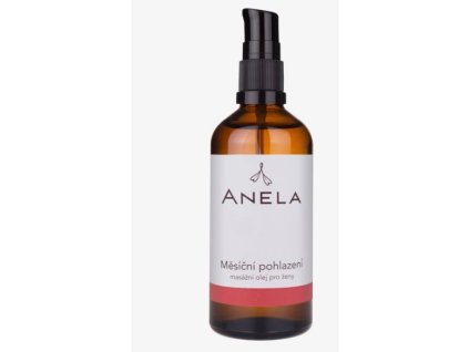 Snímek obrazovky 27 1 2025 121110 www.anela.cz