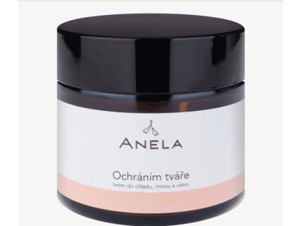 Snímek obrazovky 27 1 2025 125314 www.anela.cz