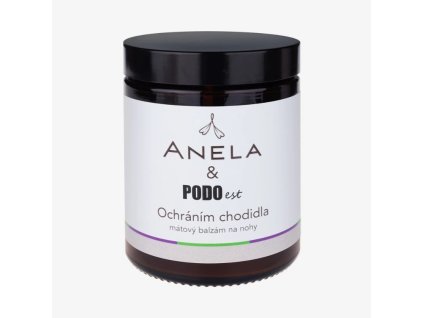 Snímek obrazovky 2 6 2025 133456 www.anela.cz