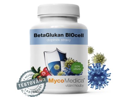 Snímek obrazovky 2025 09 08 v 18.13.04