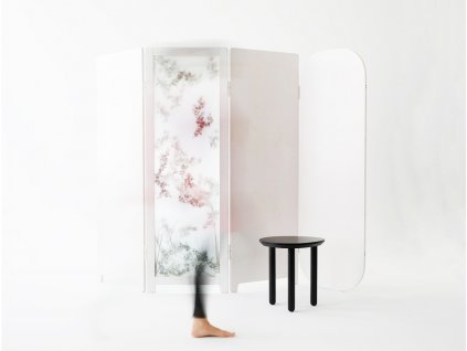 Paravan "VARIABILITÉ"