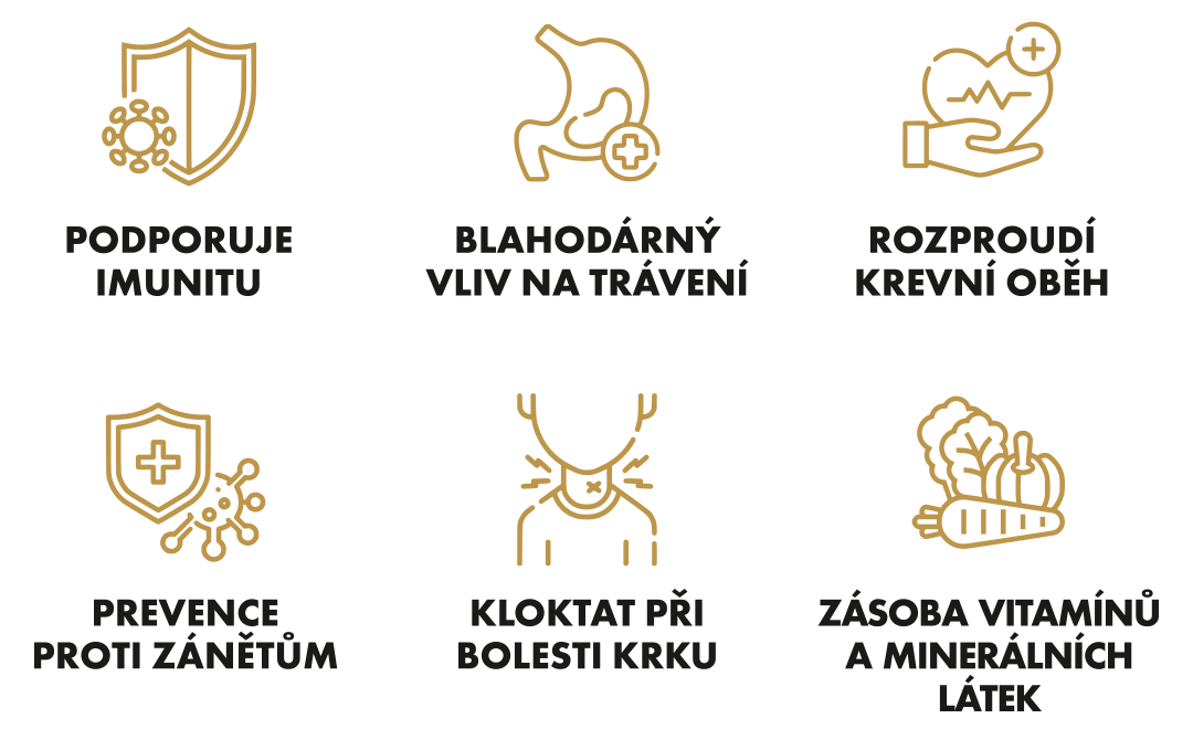 immnunity_booster_info-vyhody_ikony