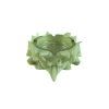 1883 1 smoke kill pack fluorescencni