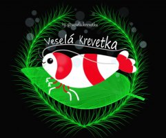                                     Veselá Krevetka
                            