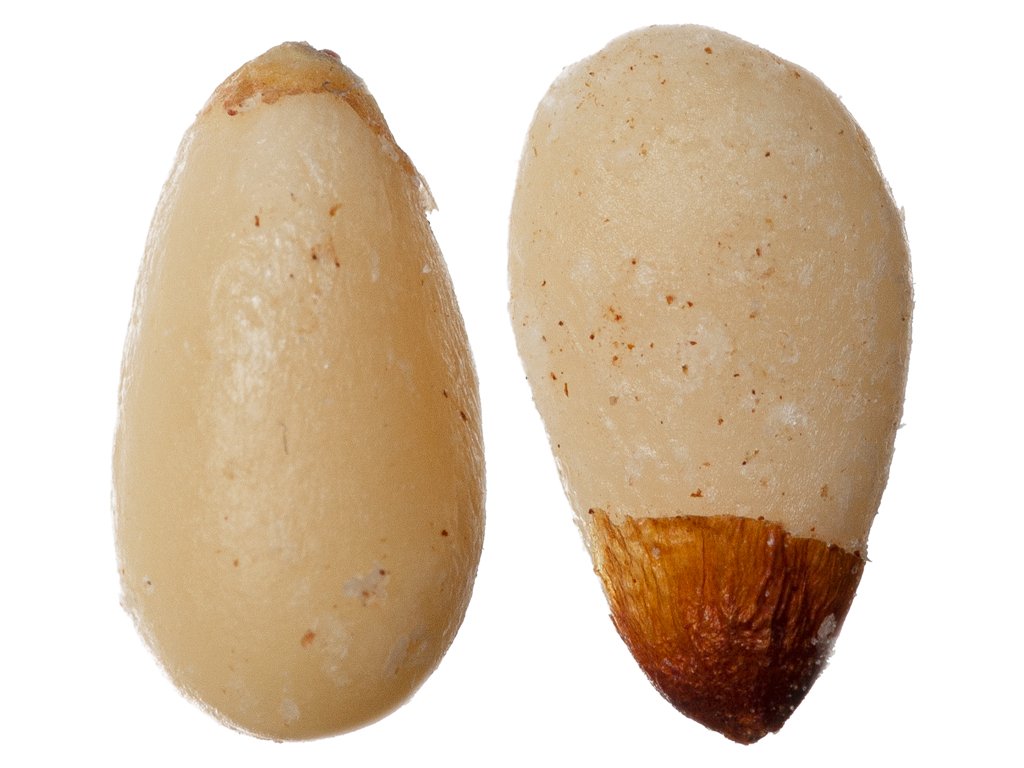 Piniové ořechy, makro 1024x768px