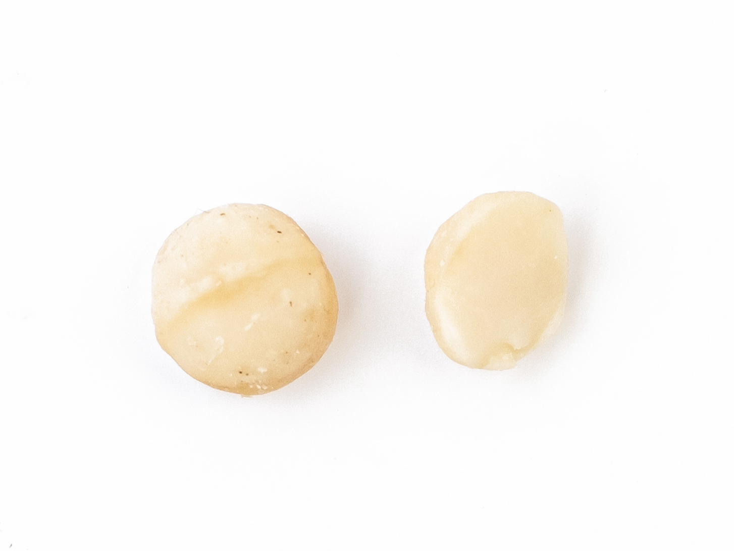 Makadamové ořechy 500 g - Obrázek 4