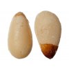 Piniové ořechy, makro 1024x768px