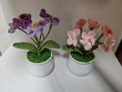 473180367 2005915059904116 2887647693207935960 n