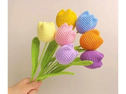 473383998 1326882151650194 7836654548269598119 n