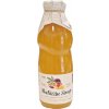 nature notea s r o babiccin sirup maracuja mango 0 5l