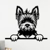 Samolepka Yorkshirský teriér