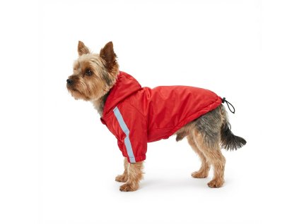 Gemini Generated Image 24d84024d84024d8 (2)