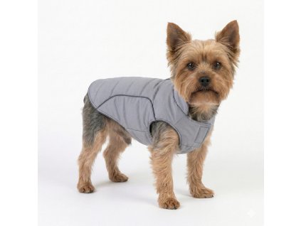 Gemini Generated Image 5zscvx5zscvx5zsc