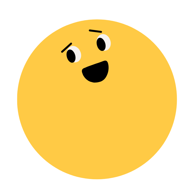 12 přihrádek