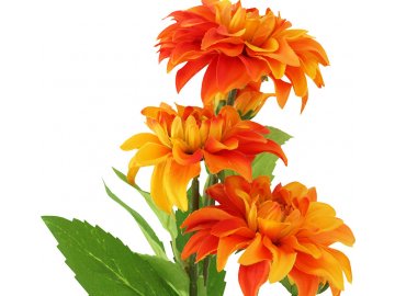 Umělá květina, Jiřinka, barva oranžová