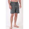 Pánske pyžamové šortky Adam (Varianta sivá; M)